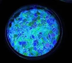"BEYOND WONDERLAND" *UV*/BlackLight* Festival FunFetti inkeddollcosmetics